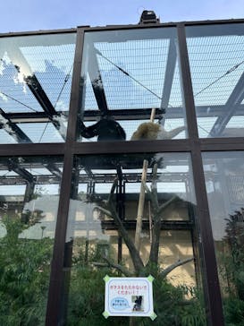 東武動物公園に投稿された画像（2023/5/21）