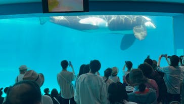名古屋港水族館に投稿された画像（2023/5/21）