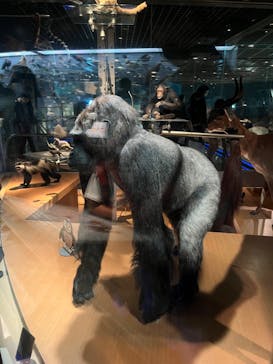 国立科学博物館に投稿された画像（2023/5/21）