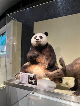 国立科学博物館に投稿された画像（2023/5/21）