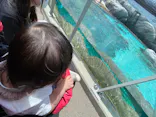 天王寺動物園に投稿された画像（2023/5/21）