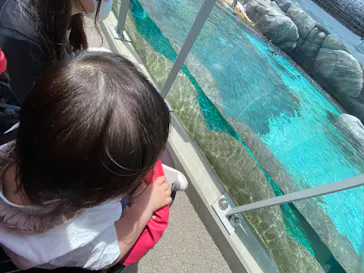 天王寺動物園に投稿された画像（2023/5/21）