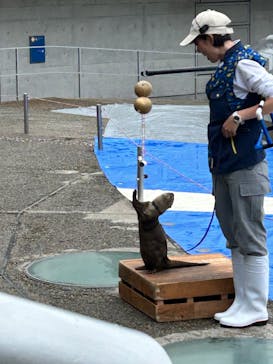 大分マリーンパレス水族館 「うみたまご」に投稿された画像（2023/5/21）