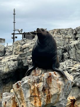大分マリーンパレス水族館 「うみたまご」に投稿された画像（2023/5/21）