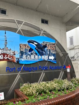 名古屋港水族館に投稿された画像（2023/5/21）