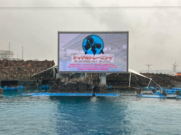 名古屋港水族館に投稿された画像（2023/5/21）