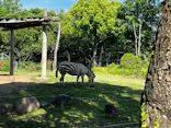 天王寺動物園に投稿された画像（2023/5/21）