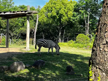 天王寺動物園に投稿された画像（2023/5/21）
