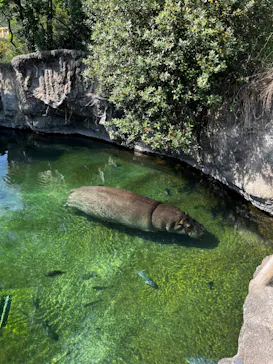 天王寺動物園に投稿された画像（2023/5/21）