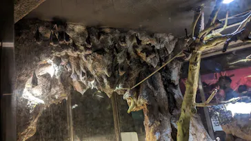 天王寺動物園に投稿された画像（2023/5/21）