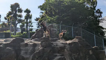 天王寺動物園に投稿された画像（2023/5/21）
