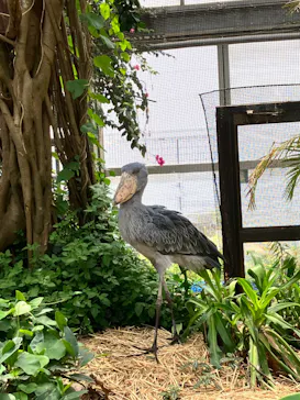 神戸どうぶつ王国に投稿された画像（2023/5/21）