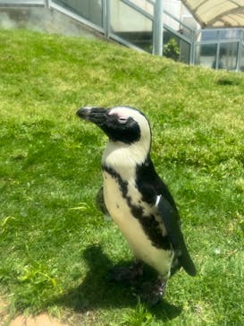 マリンワールド海の中道に投稿された画像（2023/5/21）
