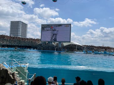 名古屋港水族館に投稿された画像（2023/5/21）