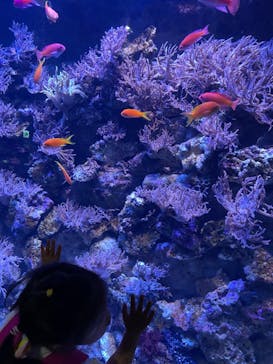 名古屋港水族館に投稿された画像（2023/5/21）