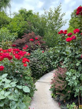 横浜イングリッシュガーデンに投稿された画像（2023/5/21）