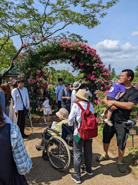 京成バラ園に投稿された画像（2023/5/21）
