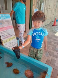 志摩市浜島磯体験施設 海ほおずきに投稿された画像（2023/5/21）