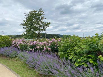 いばらきフラワーパークに投稿された画像（2023/5/21）