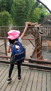 ANIMAL WONDER REZOURT 市原ぞうの国・サユリワールドに投稿された画像（2023/5/21）