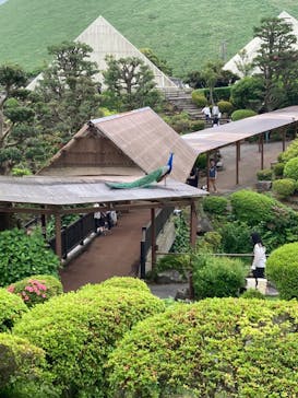 伊豆シャボテン動物公園に投稿された画像（2023/5/21）