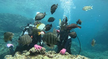 青の洞窟専門店　沖縄ダイビングショップ和に投稿された画像（2023/5/22）