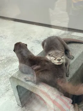 横浜・八景島シーパラダイスに投稿された画像（2023/5/22）