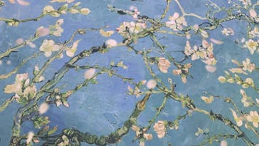 ゴッホ・アライブ神戸に投稿された画像（2023/5/22）