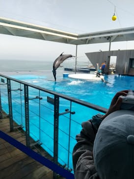 上越市立水族博物館 うみがたりに投稿された画像（2023/5/22）