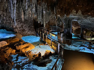 おきなわワールドに投稿された画像（2023/5/22）