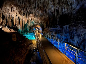 おきなわワールドに投稿された画像（2023/5/22）