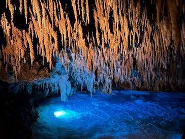 おきなわワールドに投稿された画像（2023/5/22）