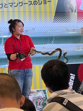 おきなわワールドに投稿された画像（2023/5/22）