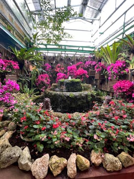 ナゴパイナップルパークに投稿された画像（2023/5/22）