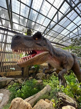 ナゴパイナップルパークに投稿された画像（2023/5/22）