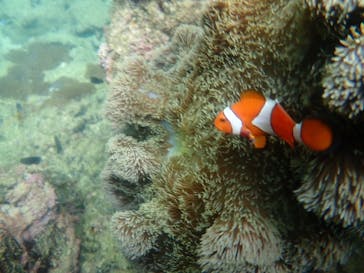 石垣島 ADVENTURE PiPi（イシガキジマアドベンチャーピピ）に投稿された画像（2023/5/22）