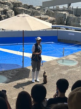 大分マリーンパレス水族館 「うみたまご」に投稿された画像（2023/5/22）