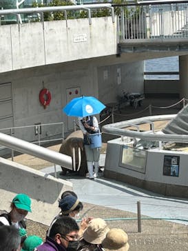大分マリーンパレス水族館 「うみたまご」に投稿された画像（2023/5/22）