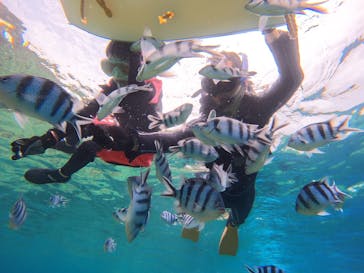 青の洞窟専門店　沖縄ダイビングショップ和に投稿された画像（2023/5/22）