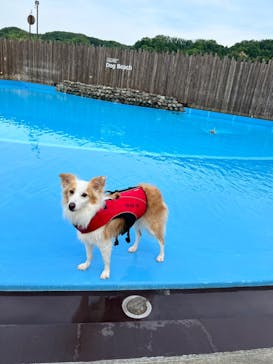 わんダフルネイチャーヴィレッジに投稿された画像（2023/5/22）