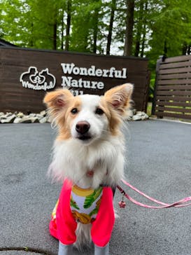 わんダフルネイチャーヴィレッジに投稿された画像（2023/5/22）