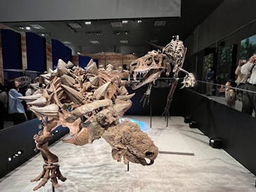 特別展「恐竜博2023」に投稿された画像（2023/5/22）