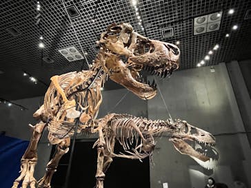 特別展「恐竜博2023」に投稿された画像（2023/5/22）