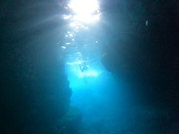 沖縄マリンサービス碧に投稿された画像（2023/5/22）