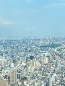 サンシャイン60展望台に投稿された画像（2023/5/22）