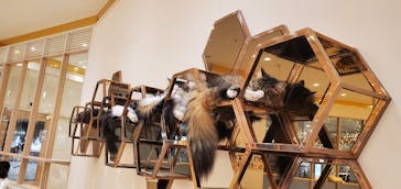猫カフェモカ　イオンモール幕張新都心店に投稿された画像（2023/5/22）