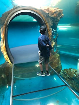 しながわ水族館に投稿された画像（2023/5/22）