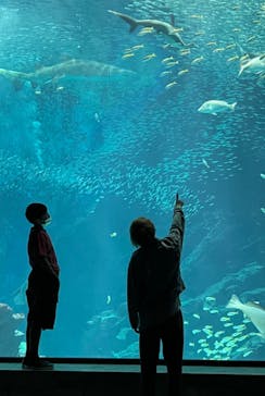 マリンワールド海の中道に投稿された画像（2023/5/22）