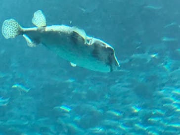 マリンワールド海の中道に投稿された画像（2023/5/22）