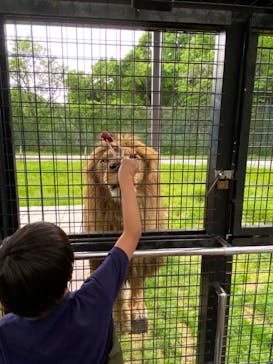 那須サファリパークに投稿された画像（2023/5/22）